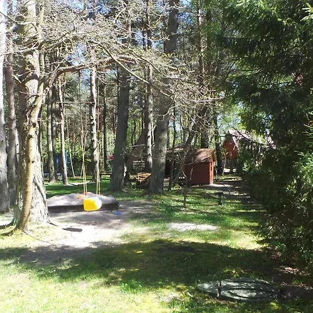 Lesne Tarasy * Dębki