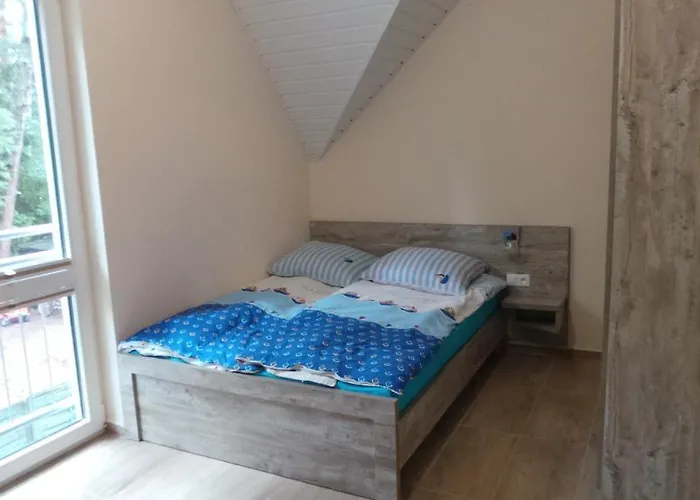 Lesne Tarasy دمبكي