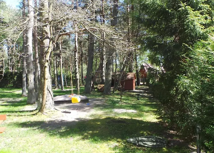 Lesne Tarasy * Dębki